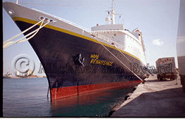 World Renaissance Bow view